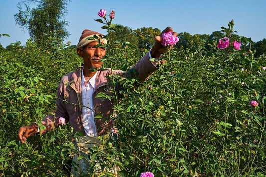 Kannauj: Everything You Should Know About The Perfume Capital Of India - God Of Essence