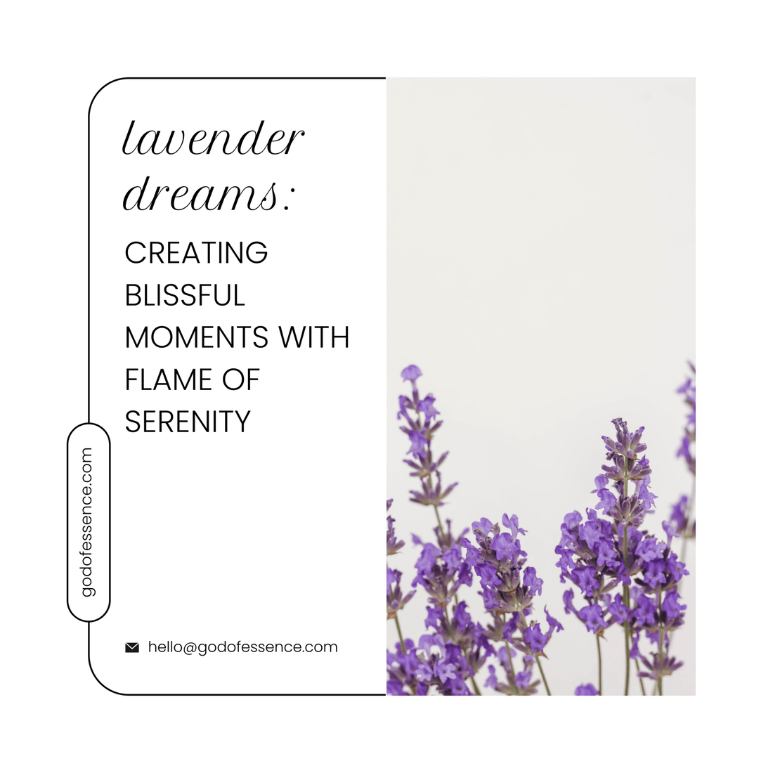 Lavender Dreams: Creating Blissful Moments with ‘FLAME OF SERENITY’ - God Of Essence